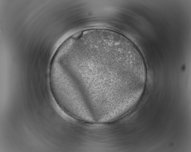 X0000116571482200912311943