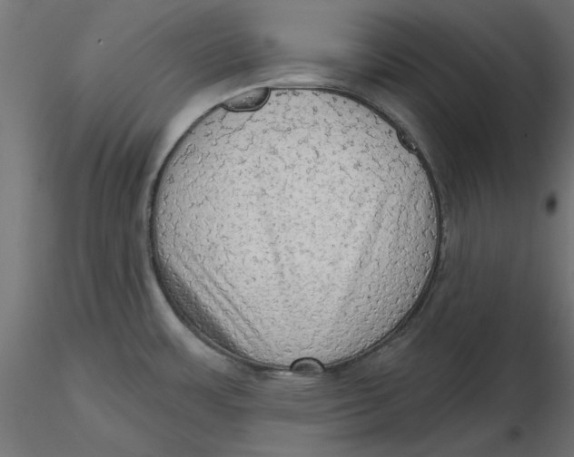 X0000116571483200912311943