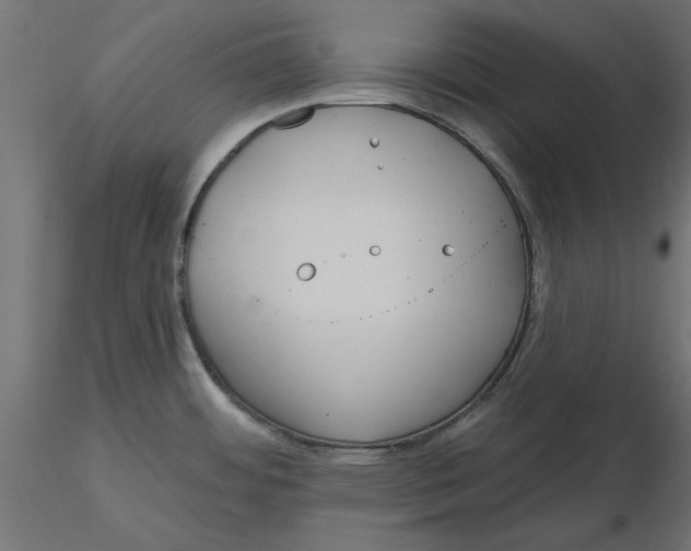 X0000116571484200912311943