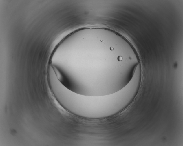 X0000116571485200912311943