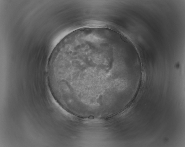 X0000116571487200912311943