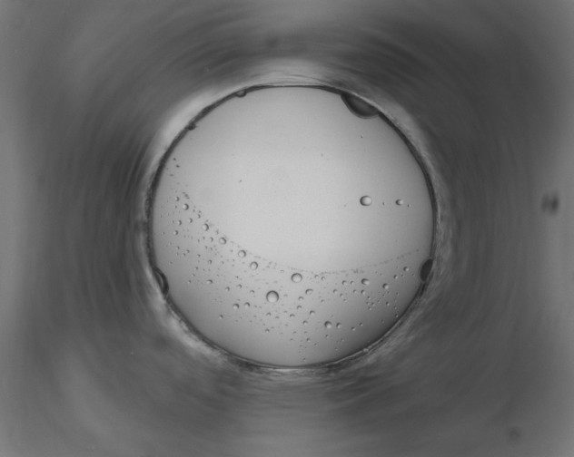 X0000116571488200912311943