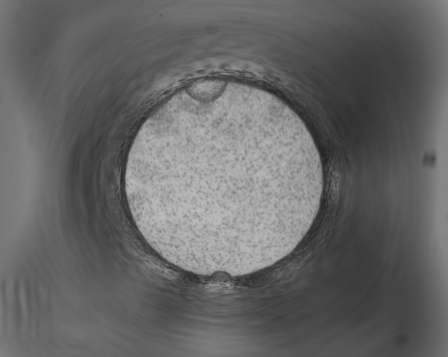 X0000116571489200912311942