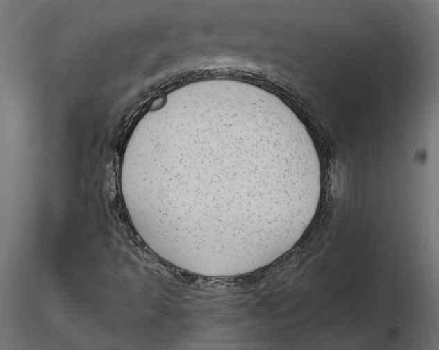 X0000116571493200912311942