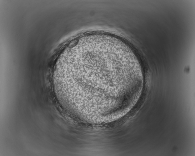 X0000116571494200912311942