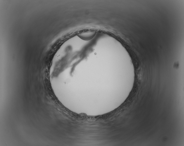 X0000116571495200912311942