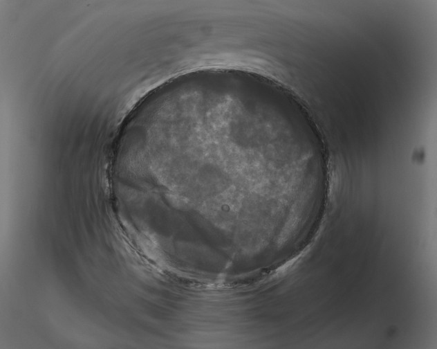 X0000116571497200912311942