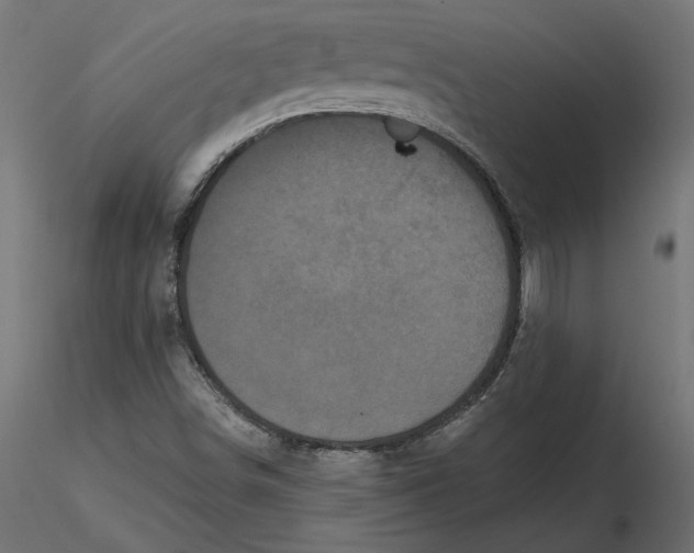 X0000116571498200912311942