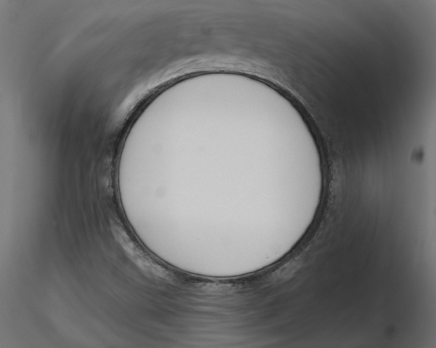 X0000116571499200912311942