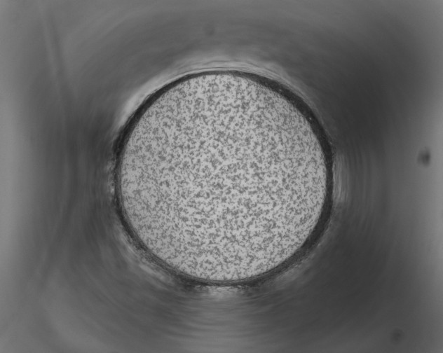 X0000116571501200912311942