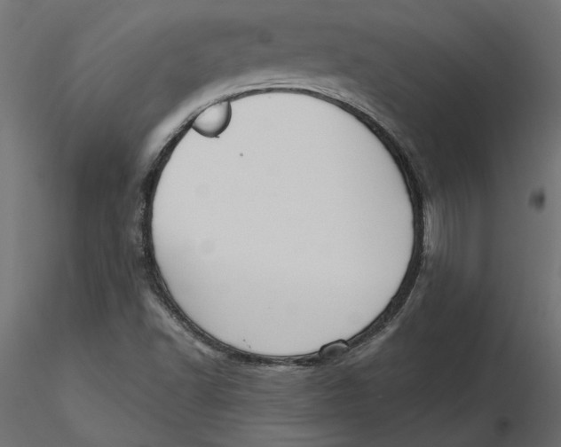 X0000116571502200912311942