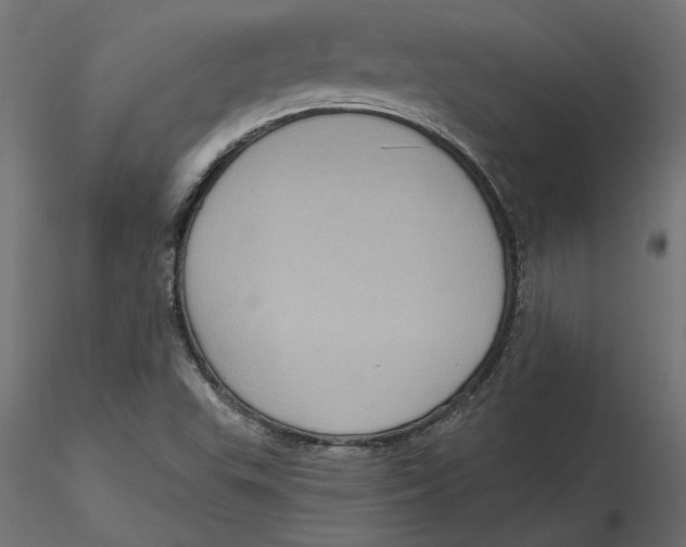 X0000116571503200912311942