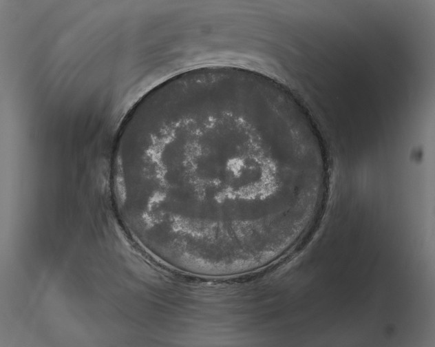 X0000116571505200912311942