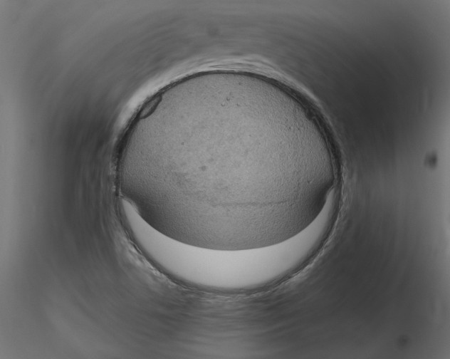 X0000116571506200912311942