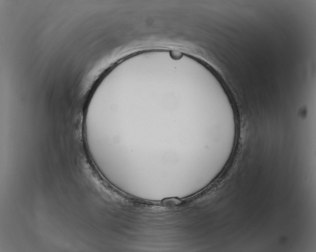 X0000116571507200912311942