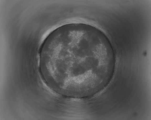 X0000116571509200912311942