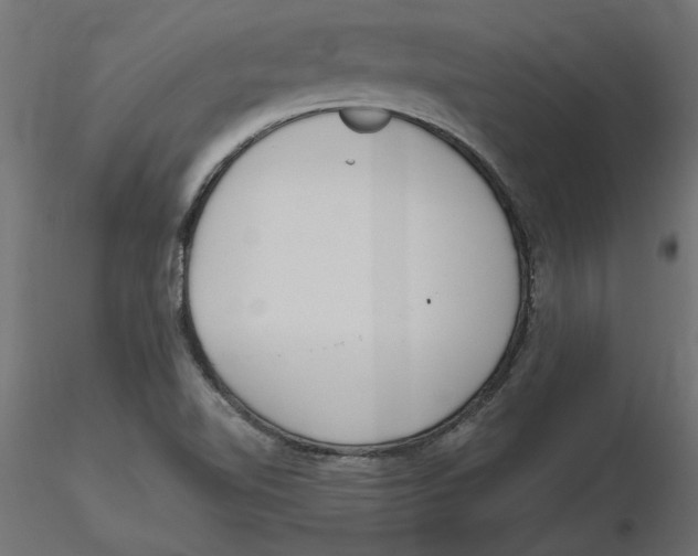 X0000116571510200912311942