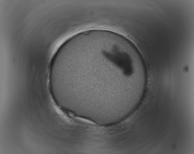 X0000116571511200912311942