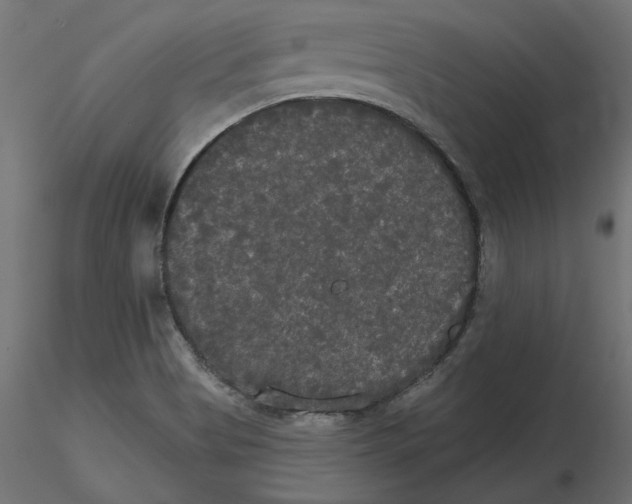 X0000116571513200912311942