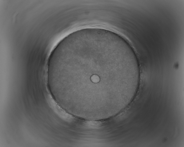 X0000116571514200912311942