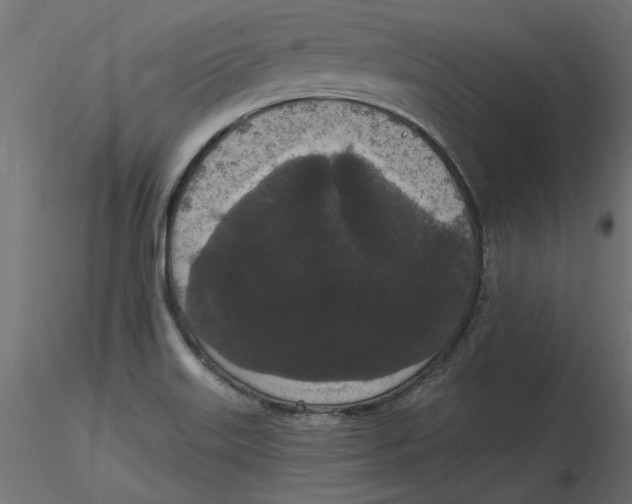 X0000116571515200912311943