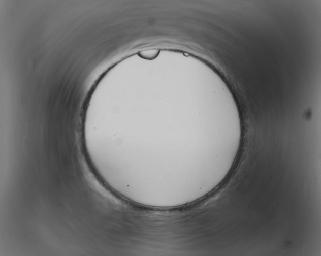 X0000116571518200912311943