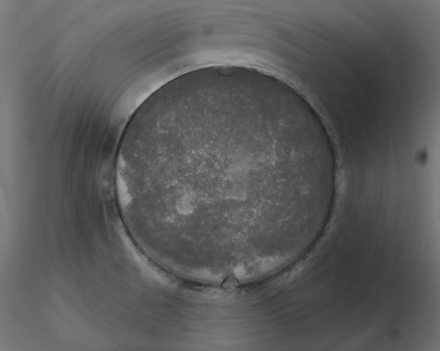 X0000116571521200912311943