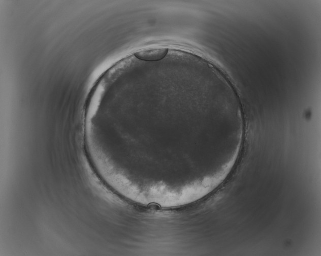 X0000116571522200912311943