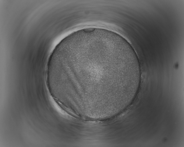 X0000116571523200912311943