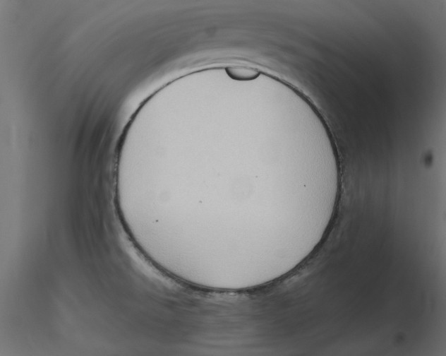 X0000116571526200912311943