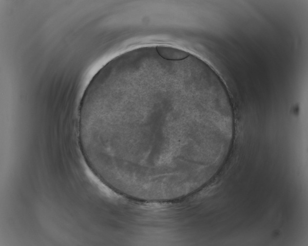 X0000116571527200912311943