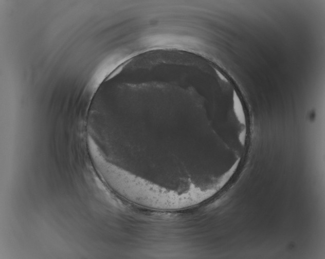 X0000116571529200912311943