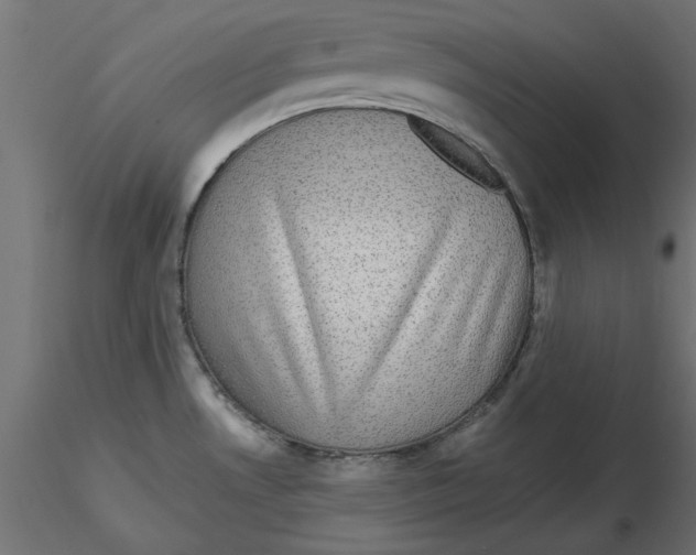 X0000116571530200912311943