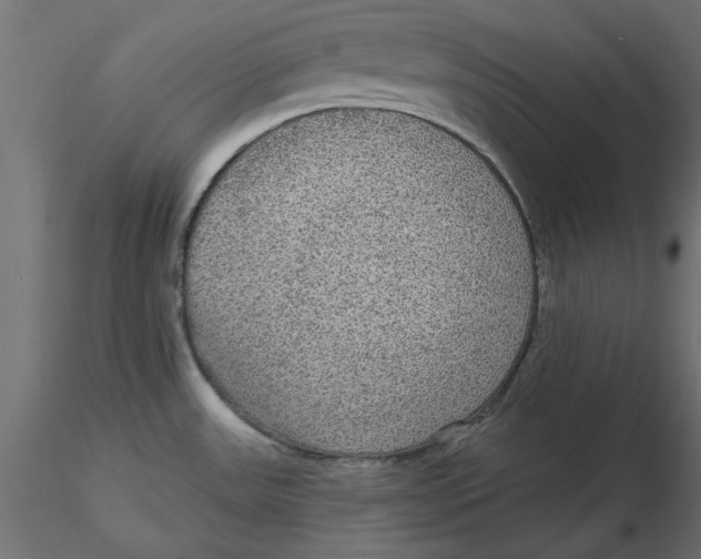 X0000116571531200912311943