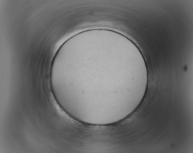 X0000116571534200912311943