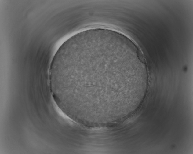 X0000116571535200912311943