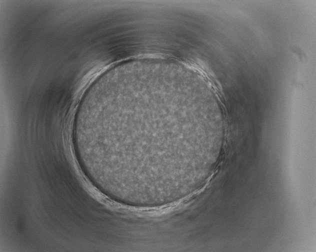 X0000116570001201001071204