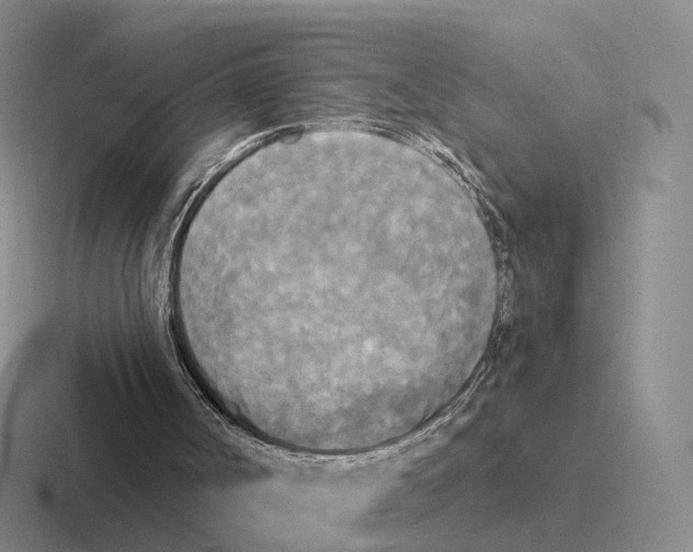 X0000116570002201001071204