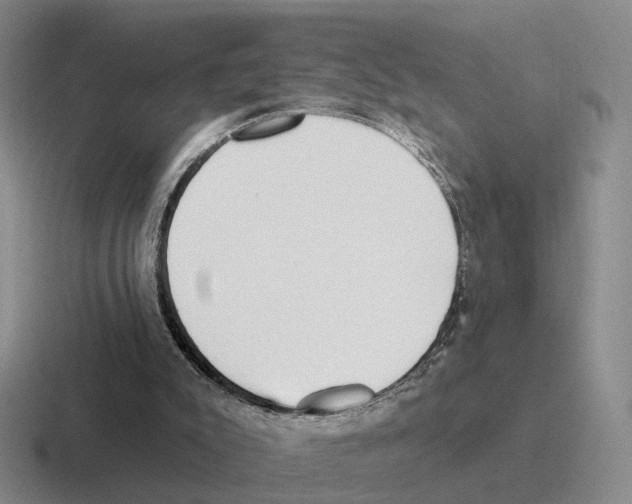 X0000116570007201001071203