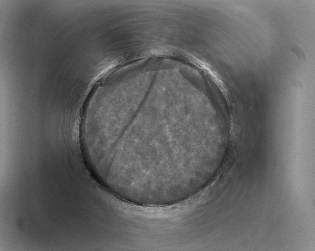 X0000116570010201001071203