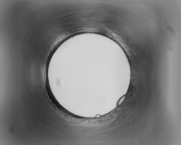 X0000116570011201001071203