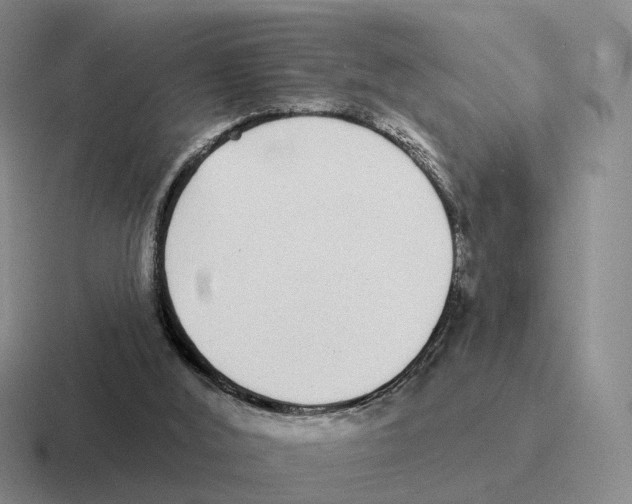 X0000116570012201001071203