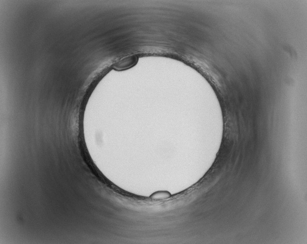 X0000116570015201001071203