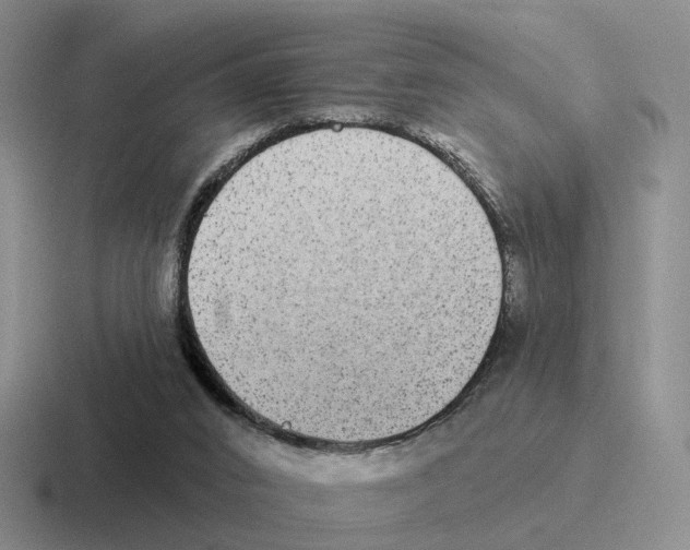 X0000116570016201001071203