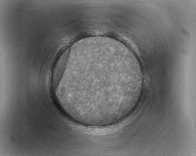 X0000116570018201001071203