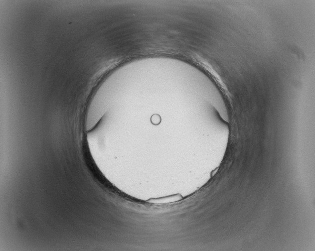 X0000116570019201001071203