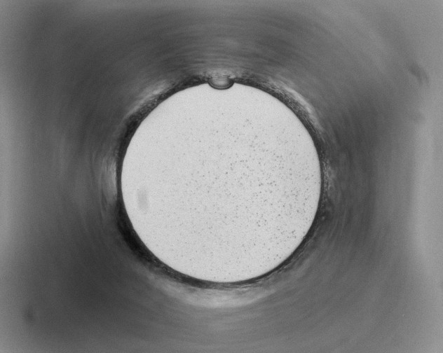 X0000116570020201001071203