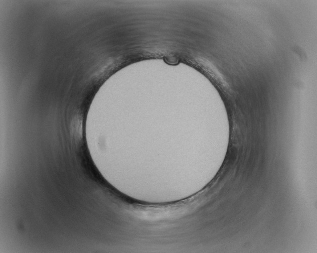 X0000116570021201001071203