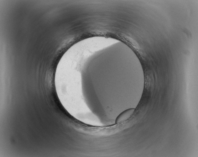 X0000116570023201001071203