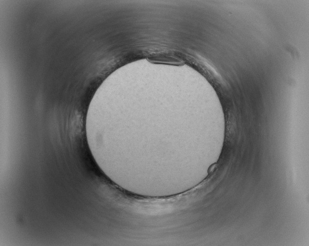 X0000116570025201001071203